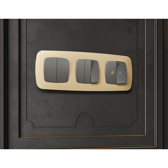 OF140604 Рамка OMEGA Ecta (Шампань) 4-ая