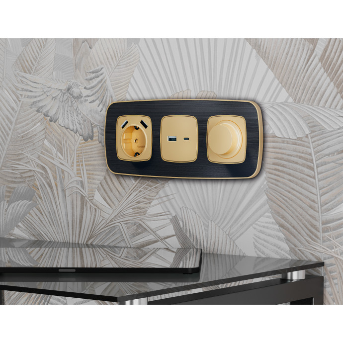 OF640544 Рамка OMEGA Coint (Черный Стекло органическое/Шампань) 4-ая