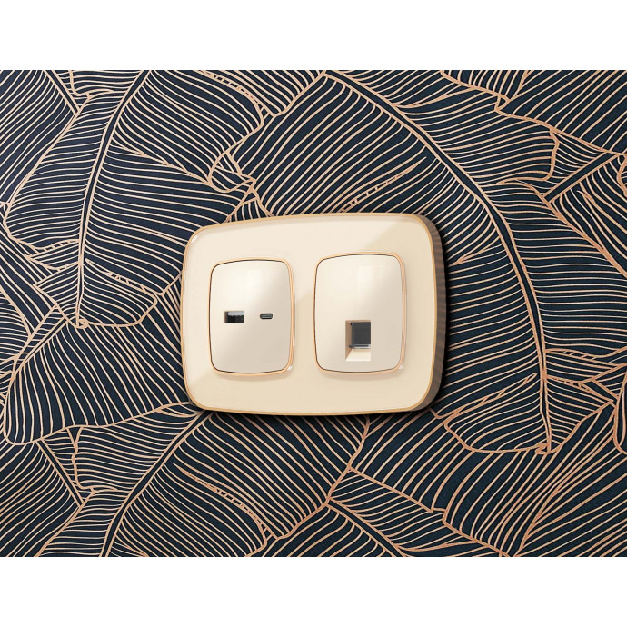 OP3110 Лицевая панель OMEGA (Бежевый глянец) для розетки 2USB тип A+C QUANT