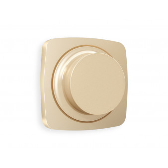 OP6055 Лицевая панель OMEGA (Шампань) для светорегулятора универсального QUANT