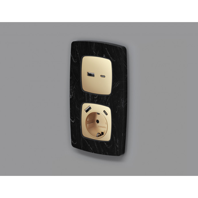 OP6100 Лицевая панель OMEGA (Шампань) для электрической розетки с/з со шторками 2USB A+C QUANT