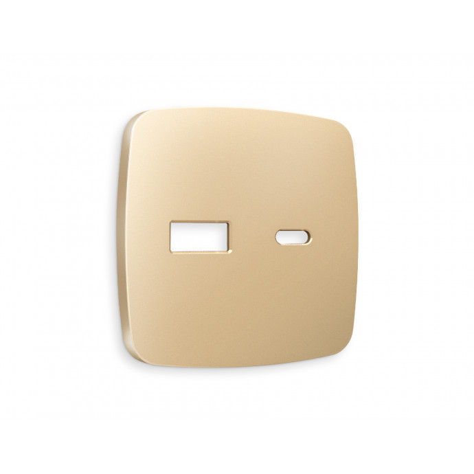 OP6110 Лицевая панель OMEGA (Шампань) для розетки 2USB тип A+C QUANT