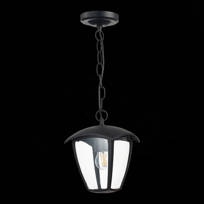 SL081.403.01 Светильник уличный подвесной ST-Luce Черный/Черный, Прозрачный E27 1*40W SIVINO