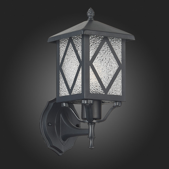 SL084.401.01 Светильник уличный настенный ST-Luce Черный/Черный, Прозрачный E27 1*60W LORNE