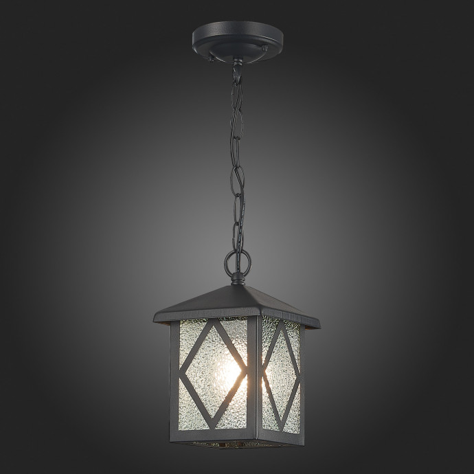 SL084.403.01 Светильник уличный подвесной ST-Luce Черный/Черный, Прозрачный E27 1*60W LORNE