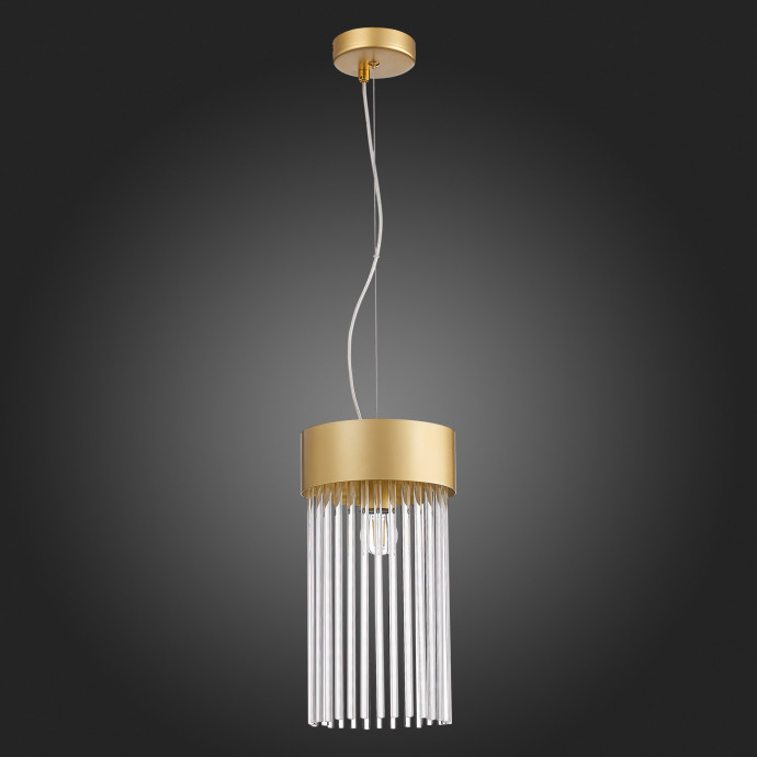 SL1225.203.01 Светильник подвесной ST-Luce Золотистый/Золотистый, Прозрачный E27 1*60W CONTATTO