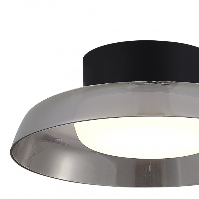 SL6019.412.01 Светильник потолочный ST-Luce Черный/Дымчатый, Белый LED 1*36W 3000K FORAY