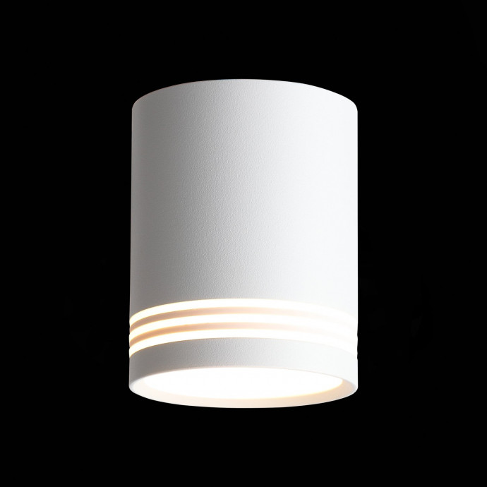 Потолочный светильник ST Luce Накладные светильники ST101.502.12