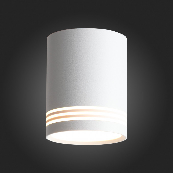 Потолочный светильник ST Luce Накладные светильники ST101.502.12