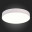 Потолочный светильник ST Luce Накладные светильники ST606.542.48