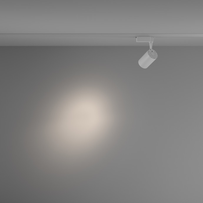Трековый светильник Technical TR003-1-10W4K-S-W