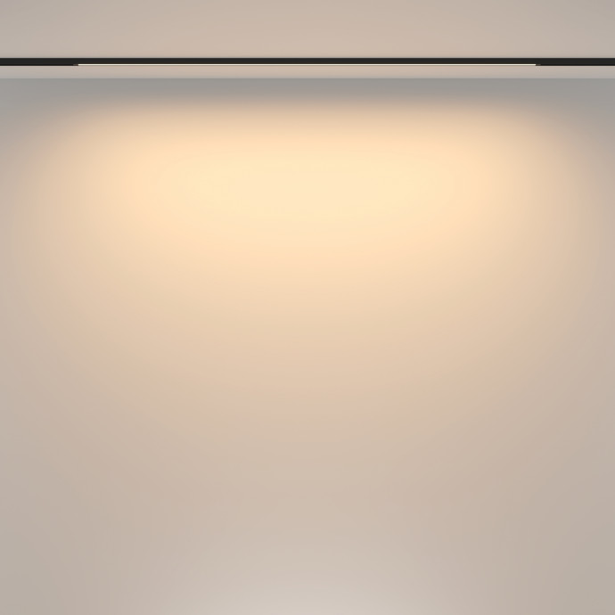 Трековый светильник Technical TR173-1-24WTW-B