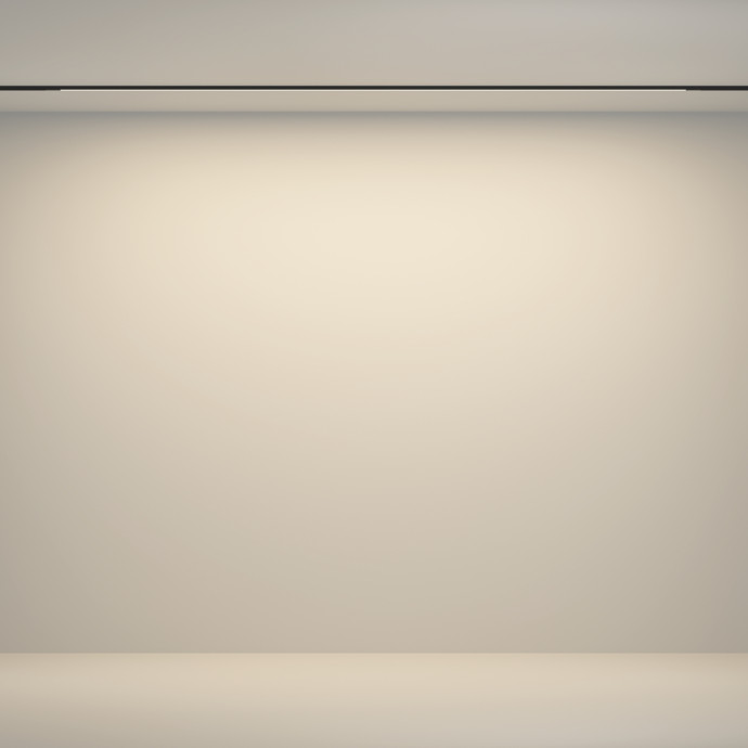 Трековый светильник Technical TR180-1-24WTW-B