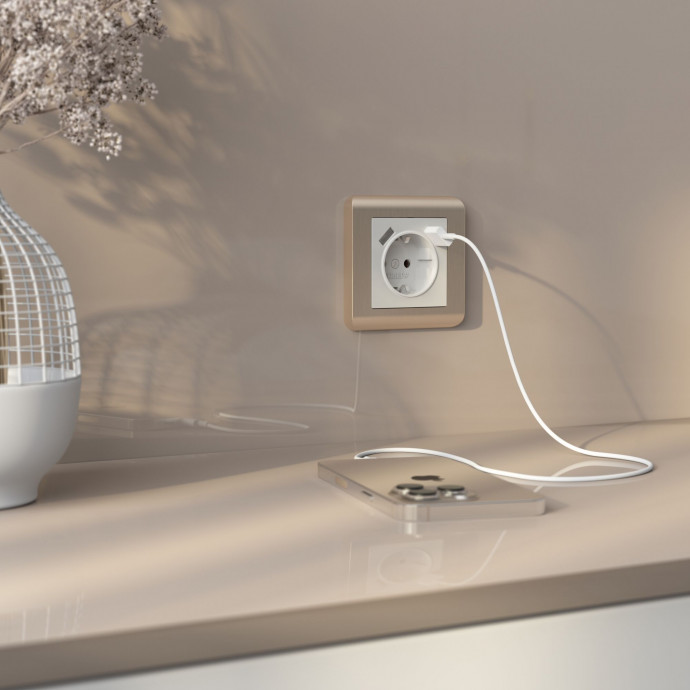 Рамка на 1 пост (шампань) W0012111