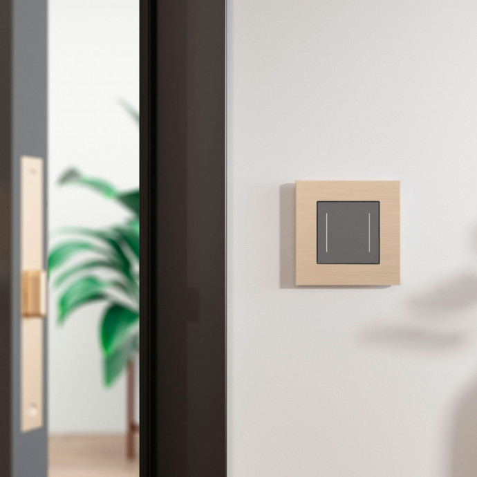 Рамка на 1 пост AluMax (шампань) W0013511