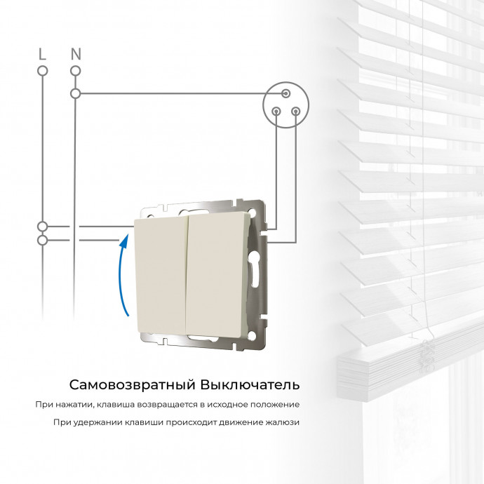 Выключатель двухклавишный с самовозвратом (слоновая кость) W1122403